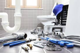 Best Garbage Disposal Repair and Installation  in Dacula, GA